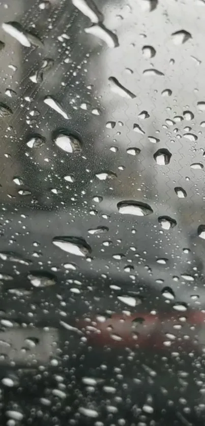 Raindrops on a window create a serene mobile wallpaper.