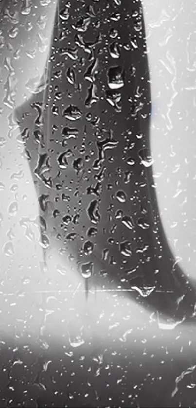 Silhouette behind a rain-soaked window wallpaper.