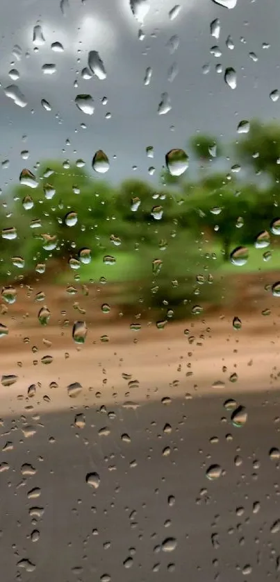 Raindrops on window with blurred greenery background.