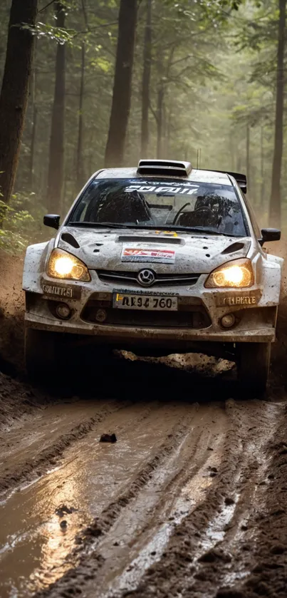 Rally car speeding through muddy forest track.