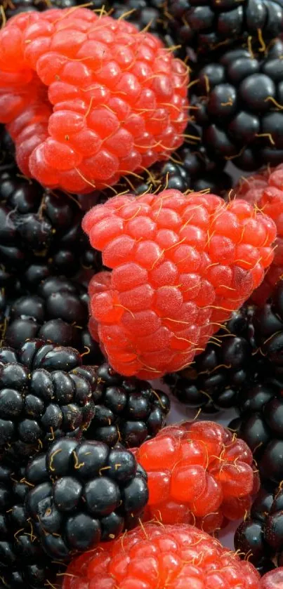 Mobile wallpaper with raspberries and blackberries.