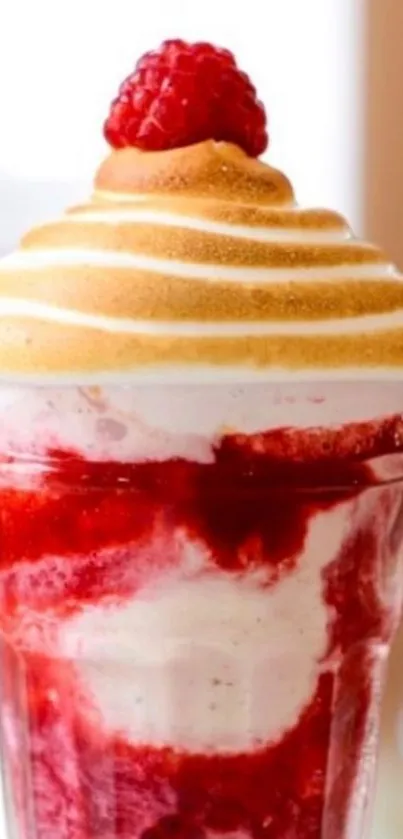 Close-up of a luscious dessert with raspberry and meringue swirl.