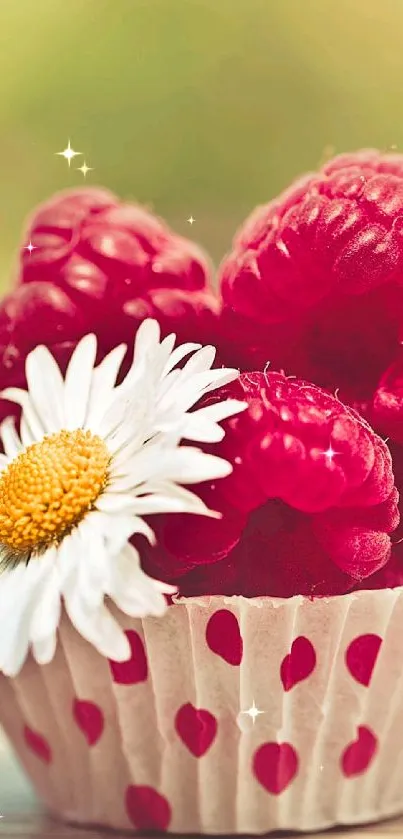 Red raspberries and a daisy in a heart-designed cup wallpaper.