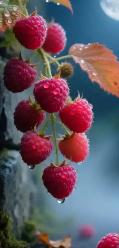 Ripe raspberries with dew in a misty moonlit forest.