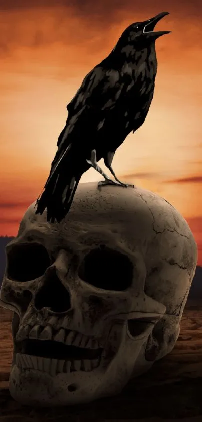 Raven perched on a skull with a vibrant sunset background.