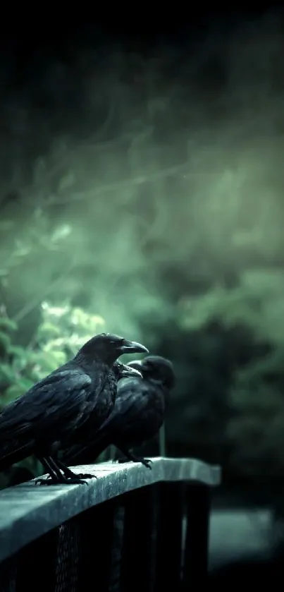 Ravens on a bridge with a misty, dark green forest background.