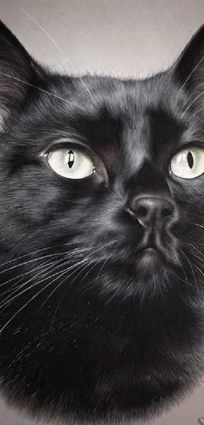 Realistic black cat portrait mobile wallpaper.