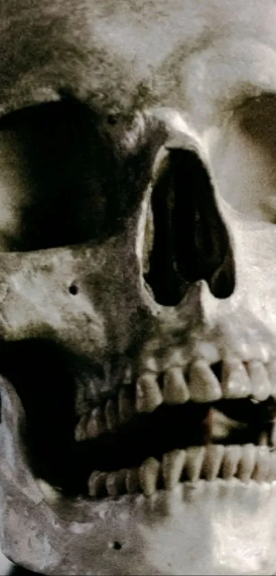 Realistic skull wallpaper with detailed texture and gothic theme.