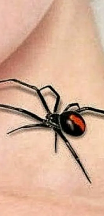 Realistic black widow spider tattoo on a neck for mobile wallpaper.