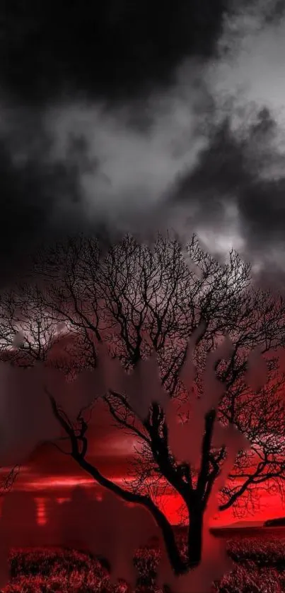 Red sky with black tree silhouette mobile wallpaper.