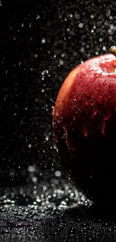 Red apple with water droplets against a dark background.