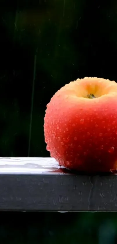 Dewy red apple on a rainy backdrop.