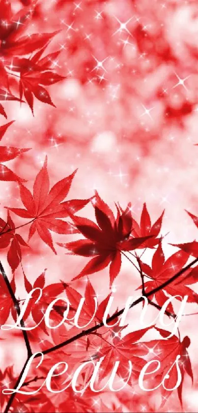 Vibrant red autumn leaves with a soft, blurred background and sparkling details.