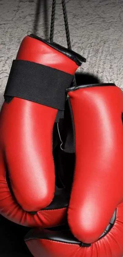 Red boxing gloves hanging against a textured wall background.