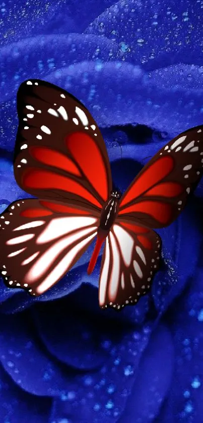 Red butterfly resting on vibrant blue rose petals.