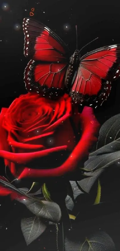 Red butterfly resting on a vibrant rose on black backdrop.