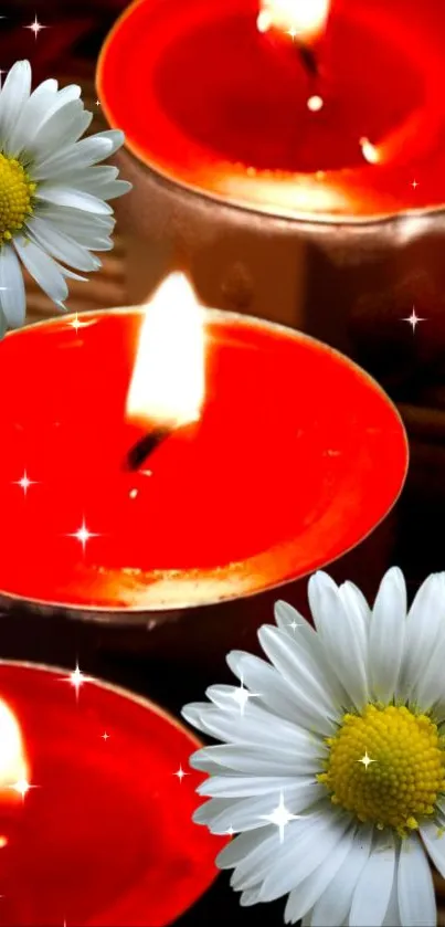 Red candles with daisies and glowing flames wallpaper.