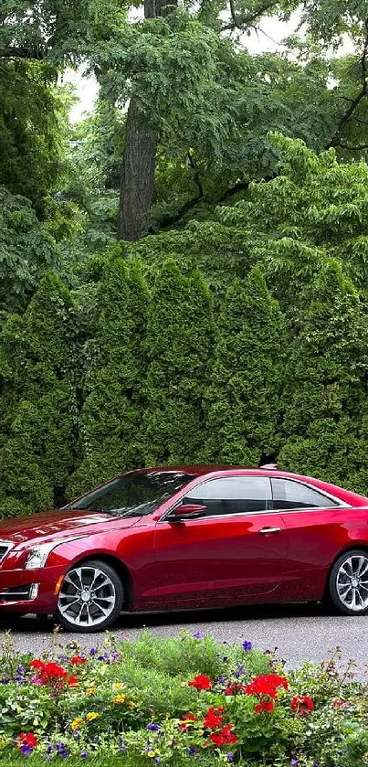 Red car parked in lush green forest setting with colorful flowers.