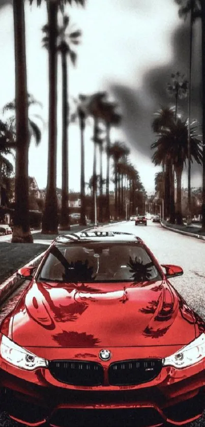 A sleek red car on a palm-lined urban road under a dramatic sky.