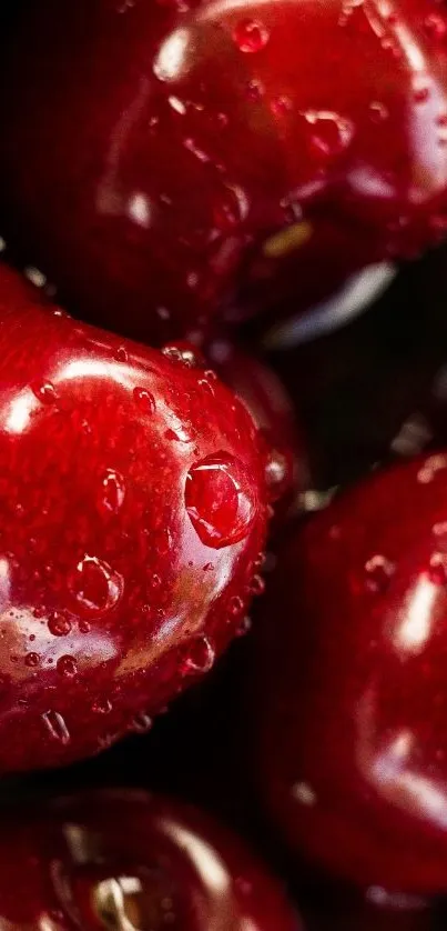 Mobile wallpaper featuring red cherries with water droplets.