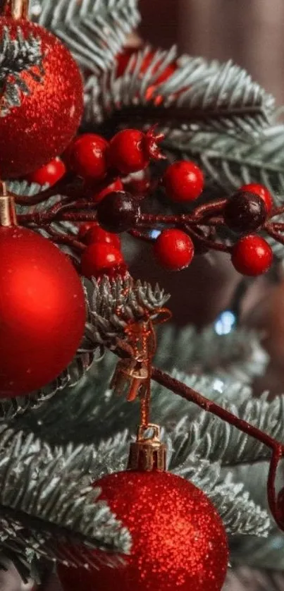 Red ornaments and berries on a Christmas tree branch.