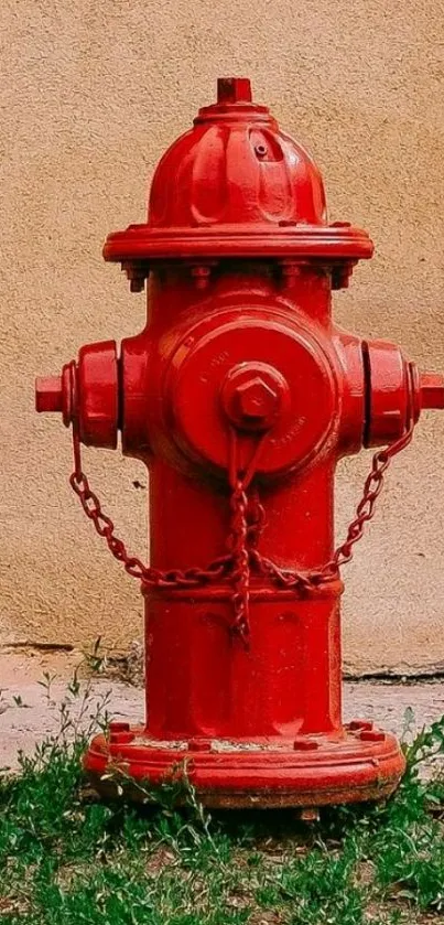 Vibrant red fire hydrant on textured wall background.