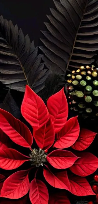 Red poinsettia with dark leaves mobile wallpaper.