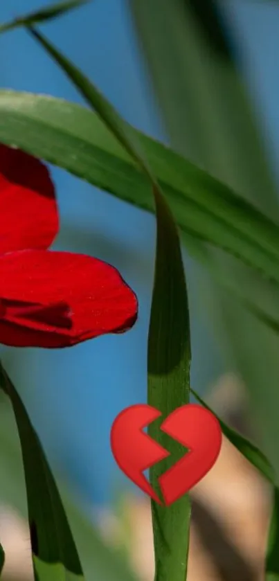 Red flower with a green leaf and broken heart on blue background.