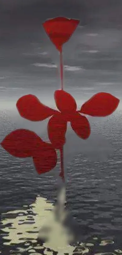 Red flower on water under moody sky, serene mobile wallpaper.