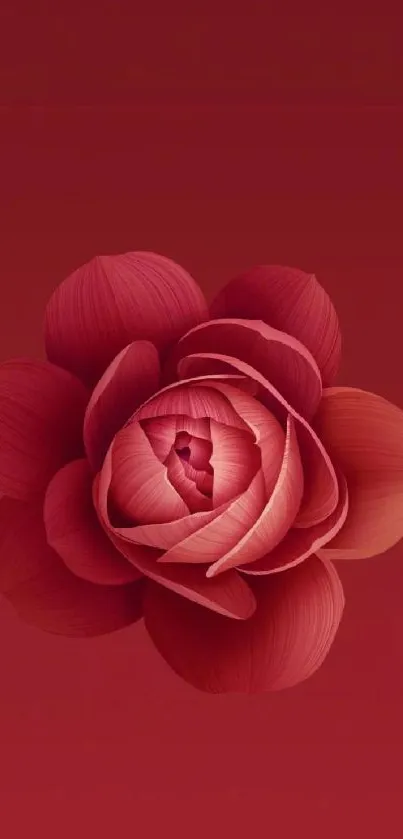 Elegant red flower wallpaper with detailed petals for a vibrant phone background.