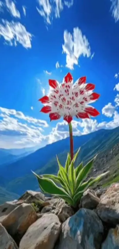 Red flower blooming under a vivid blue sky in a mountain landscape.