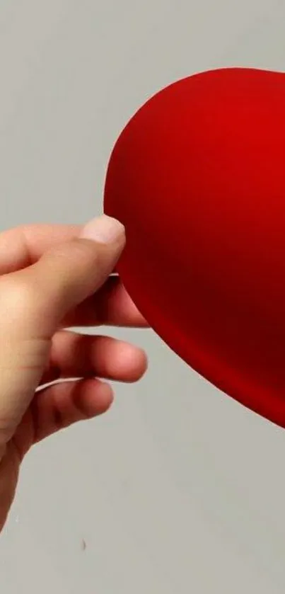 Hand holding a vivid red heart symbol on grey background.