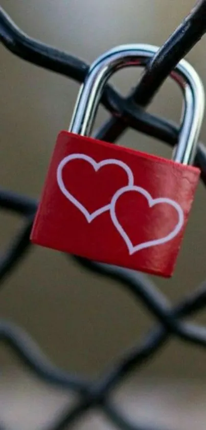 Red padlock with hearts on a black chain fence.