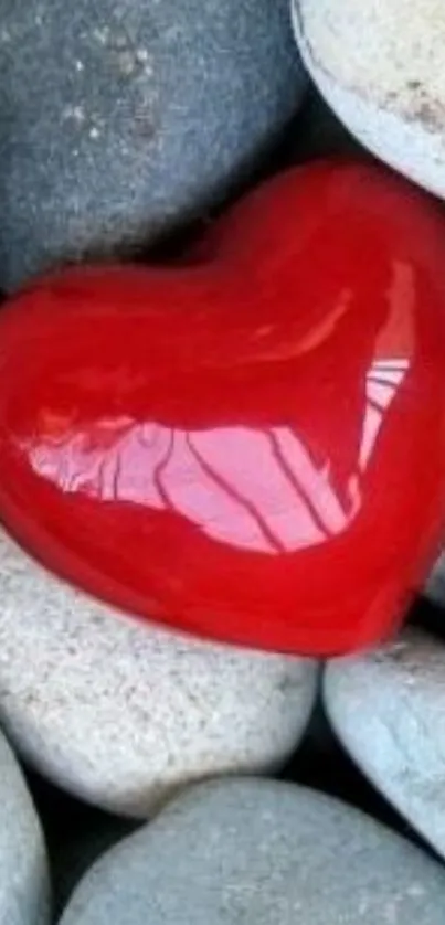 A vibrant red heart resting on grey stones