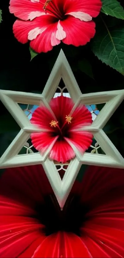 Red hibiscus and geometric star design wallpaper.