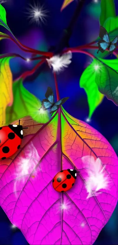 Red Insect Arthropod Live Wallpaper