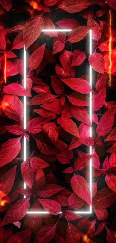 Red leaves with a neon frame design wallpaper for mobile phones.