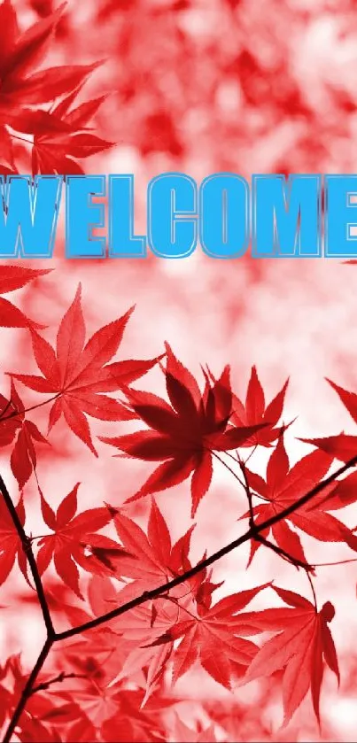 Red maple leaf wallpaper with 'Welcome' text in blue.