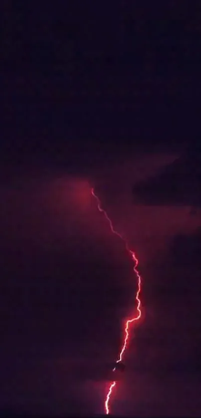 Vibrant red lightning striking through dark night sky.