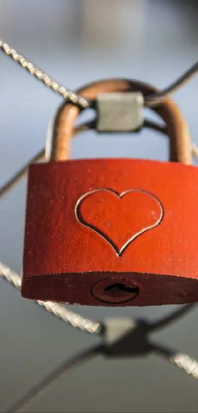 Red lock with heart design on wire fence.