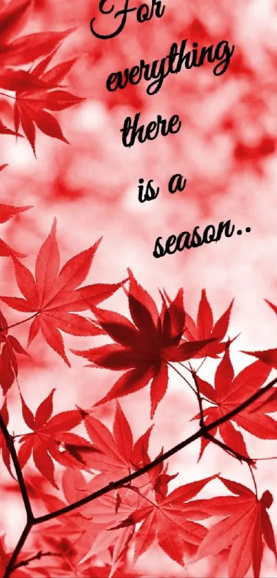 Red maple leaves with an inspiring seasonal quote.