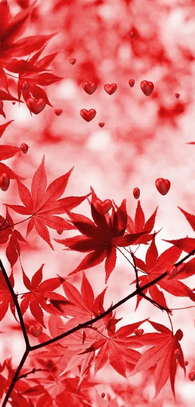 Red maple leaves create a vibrant and dynamic phone wallpaper.