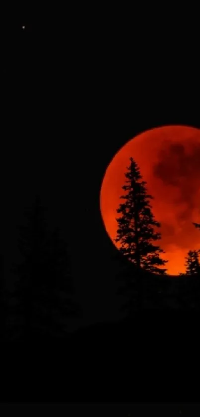 Red moon with forest silhouette against a dark night sky background.