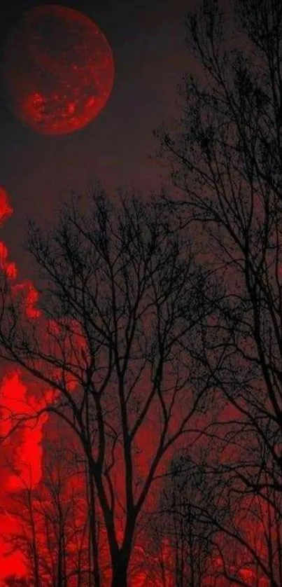 Red moon casting glow on forest tree silhouettes at night.