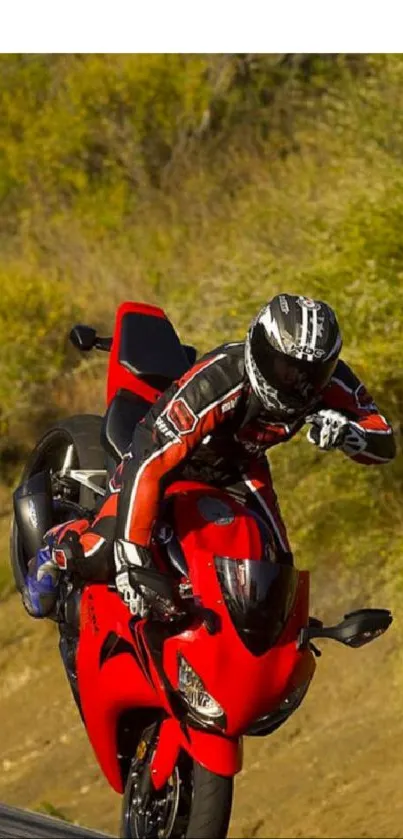 Motorcycle rider performs a stunt on a red bike against a scenic background.