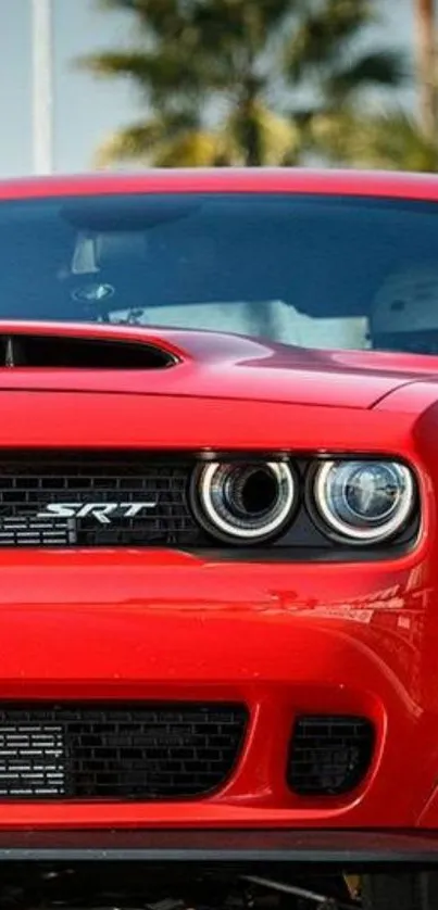 Front view of a powerful red muscle car on a sunny day.