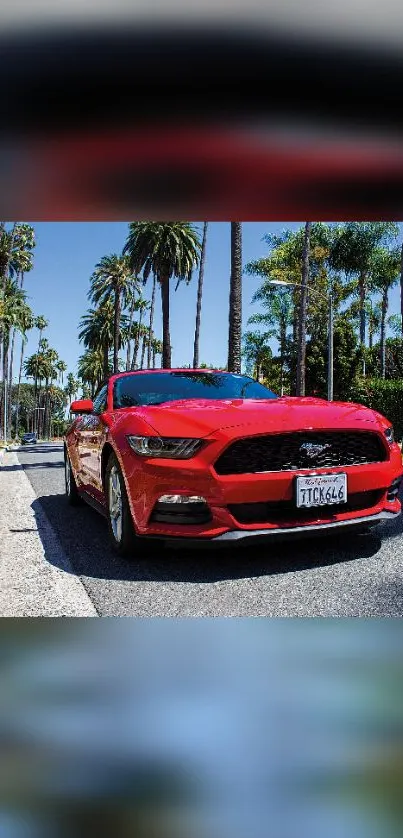 Red Mustang driving under palm trees on a sunny street.