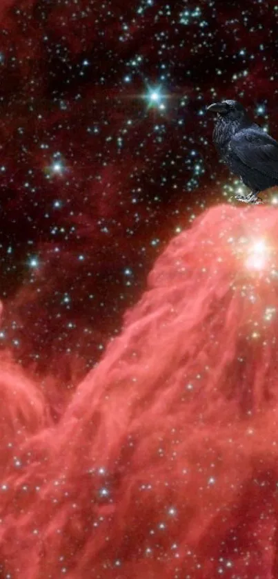 A raven perched on a red nebula with stars in a cosmic background.