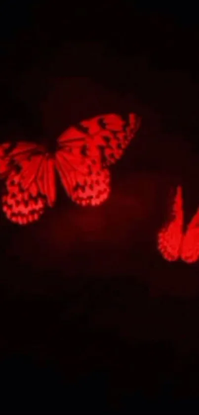 Red neon butterfly glowing against dark background.