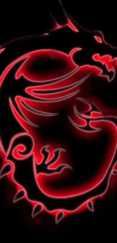 Red neon dragon on a black background.